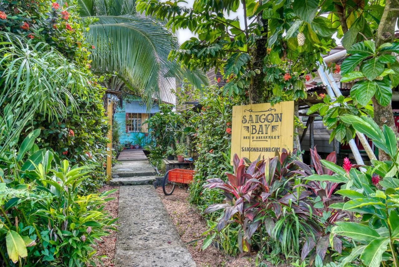 Saigon Bay Bed & Breakfast 博卡斯德尔托罗 外观 照片